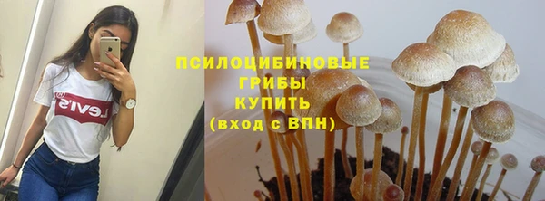 винт Гусиноозёрск