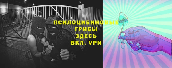 a pvp Гусев