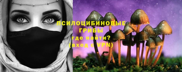 a pvp Гусев
