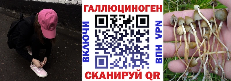 Галлюциногенные грибы ЛСД Славгород
