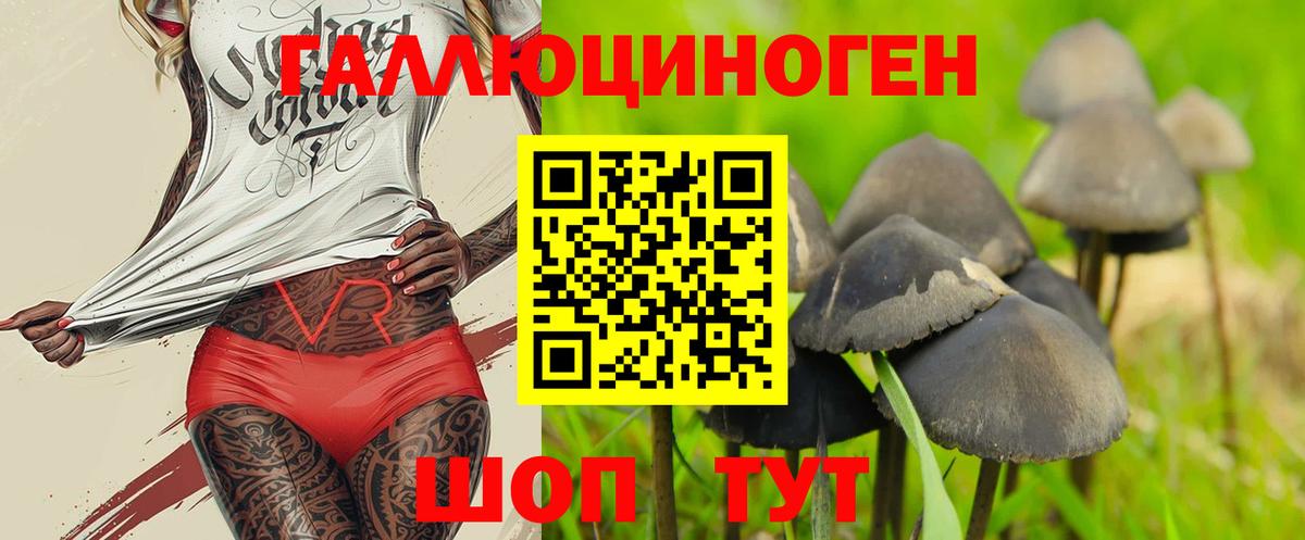 Псилоцибиновые грибы Psilocybe  Вход с VPN  Славгород 